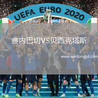 費內巴切VS貝西克塔斯