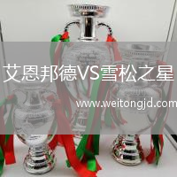 艾恩邦德VS雪松之星