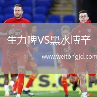 生力啤VS黑水博辛