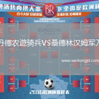 丹德農(nóng)遊騎兵VS桑德林漢姆軍刀