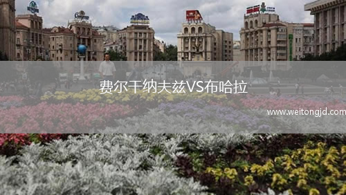 費爾干納夫茲VS布哈拉