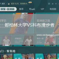 都柏林大學VS科布漫步者