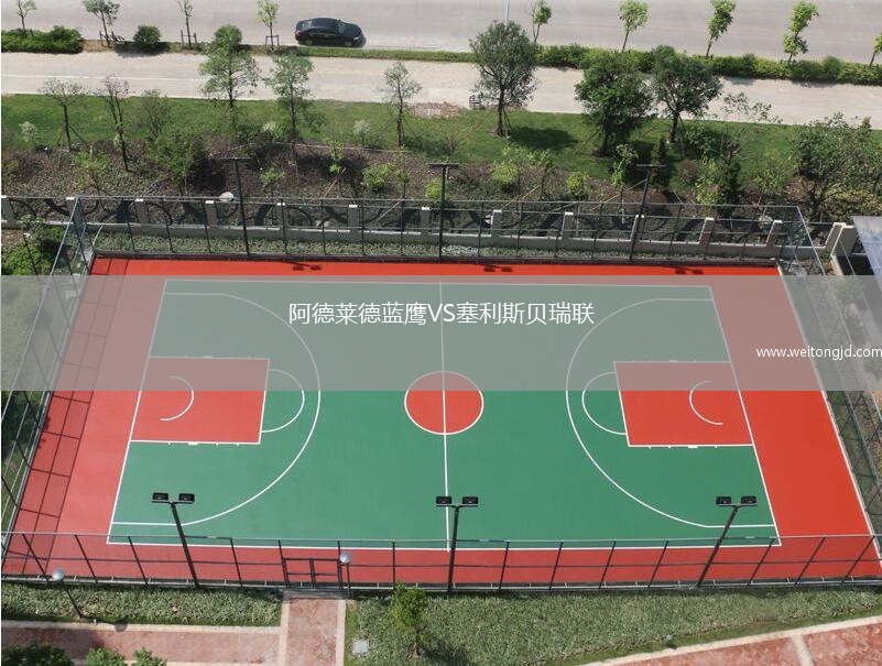 阿德萊德藍鷹VS塞利斯貝瑞聯