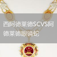 西阿德萊德SCVS阿德萊德眼鏡蛇
