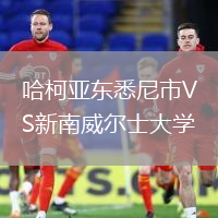 哈柯亞東悉尼市VS新南威爾士大學