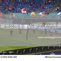 荷蘭公園老鷹VS羅切達爾流浪