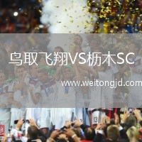 鳥取飛翔VS櫪木SC