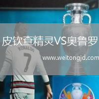 皮欽查精靈VS奧魯羅