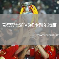 彭裏斯黑豹VS紐卡斯爾獵鷹