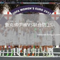 查克佛伊維VS聯合防衛隊