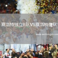 夏洛特獨立B隊VS夏洛特鷹隊