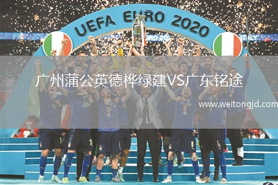 廣州蒲公英德樺綠建VS廣東銘途