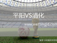 平陽VS清化