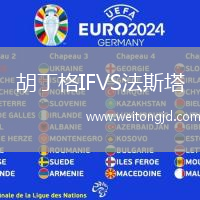 胡丁格IFVS法斯塔
