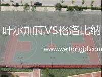 葉爾加瓦VS格洛比納