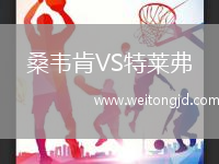桑韋肯VS特萊弗
