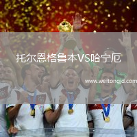 托爾恩格魯本VS哈寧厄