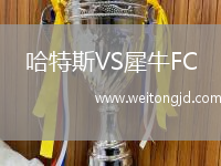 哈特斯VS犀牛FC