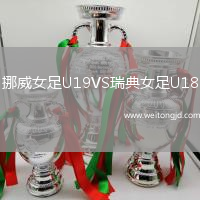 挪威女足U19VS瑞典女足U18