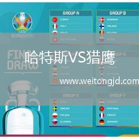 哈特斯VS獵鷹