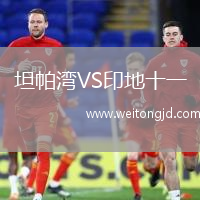 坦帕灣VS印地十一