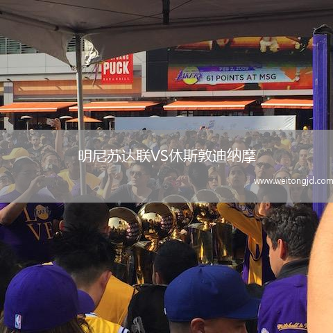 明尼蘇達聯VS休斯敦迪納摩