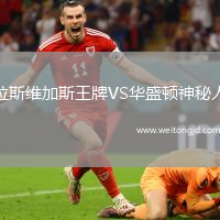 拉斯維加斯王牌VS華盛頓神秘人