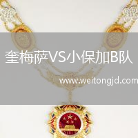 奎梅薩VS小保加B隊