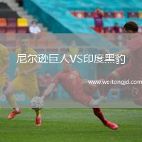 尼爾遜巨人VS印度黑豹
