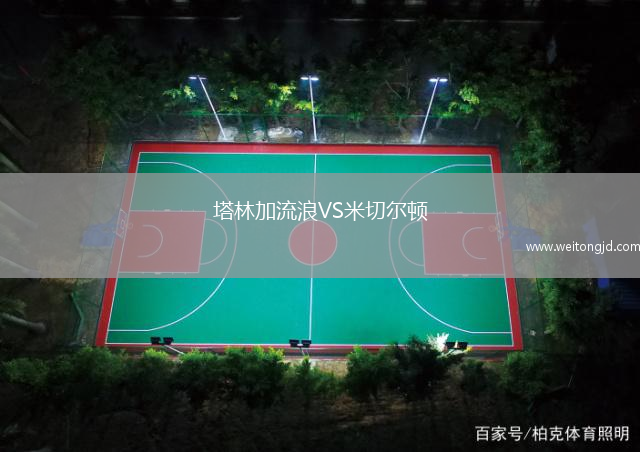 塔林加流浪VS米切爾頓