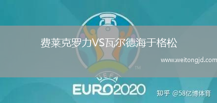 費萊克羅力VS瓦爾德海于格松