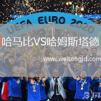 哈馬比VS哈姆斯塔德