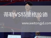 蒂勒VS特里格拉德