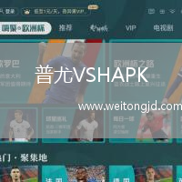 普尤VSHAPK