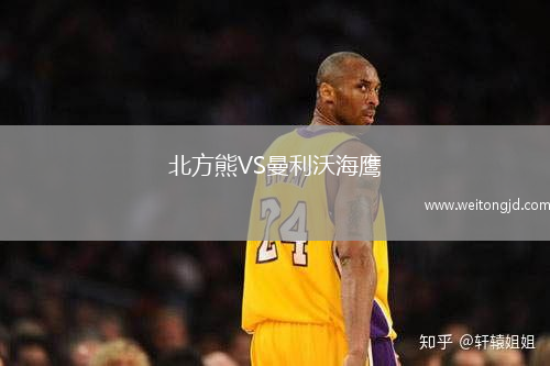 北方熊VS曼利沃海鷹
