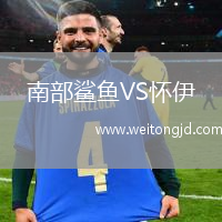 南部鯊魚VS懷伊