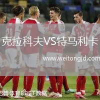 克拉科夫VS特馬利卡
