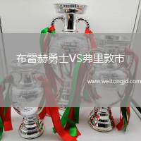 布雷赫勇士VS弗里敦市