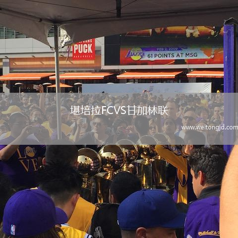 堪培拉FCVS甘加林聯(lián)