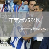 布萊尼VS漢坎
