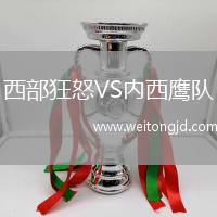 西部狂怒VS內西鷹隊