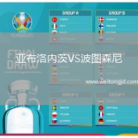 亞布洛內(nèi)茨VS波圖森尼