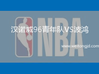 漢諾威96青年隊VS波鴻