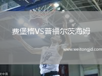 費堡格VS普福爾茨海姆