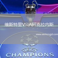 維斯特里VSIA阿克拉內斯