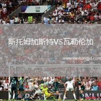 斯托姆加斯特VS瓦勒倫加