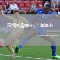 深圳新鵬城VS上海海港