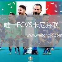 唯一FCVS卡尼芬聯(lián)