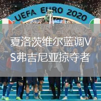 夏洛茨維爾藍調VS弗吉尼亞掠奪者