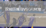 雙城巨嘴鳥VSGFI林地